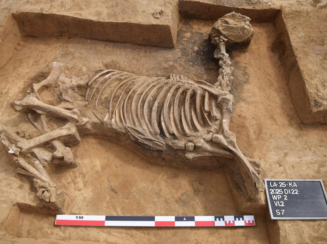 Archeologische vondst 